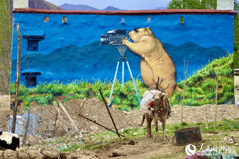 3D-картины украсили стены сельских домов в Тибете