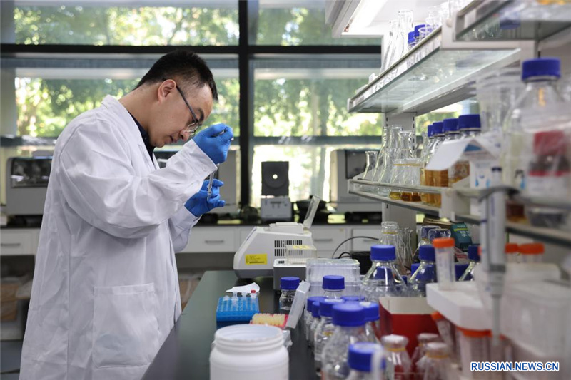 Китайские ученые разработали искусственный метод синтеза гексоз из CO2
