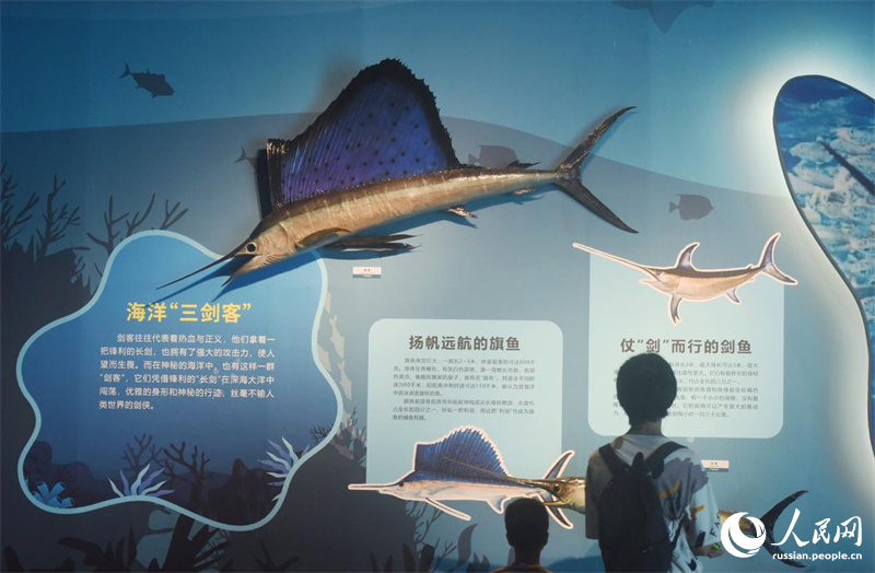 Секреты колючих морских обитателей в Музее естественной истории Чжэцзяна