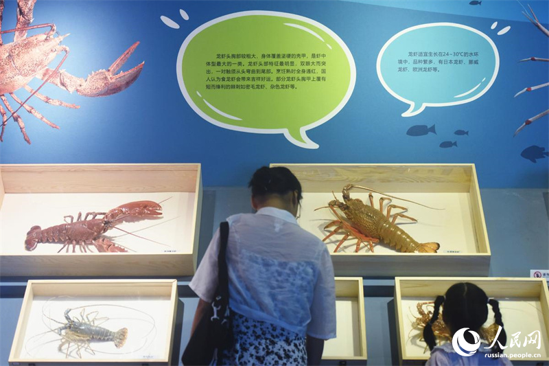 Секреты колючих морских обитателей в Музее естественной истории Чжэцзяна