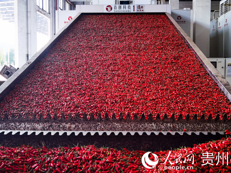 В китайском городе Цзуньи бурно развиваются производство и переработка острого перца
