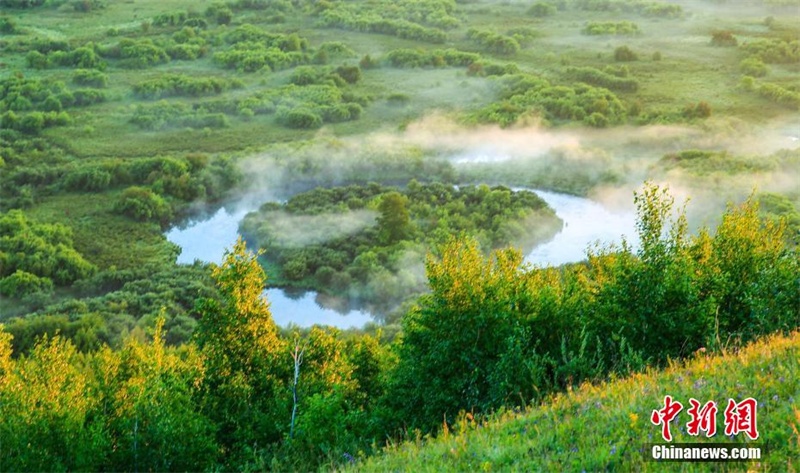 Осенние пейзажи водно-болотных угодий реки Аргунь в городском округе Хулун-Буир Внутренней Монголии