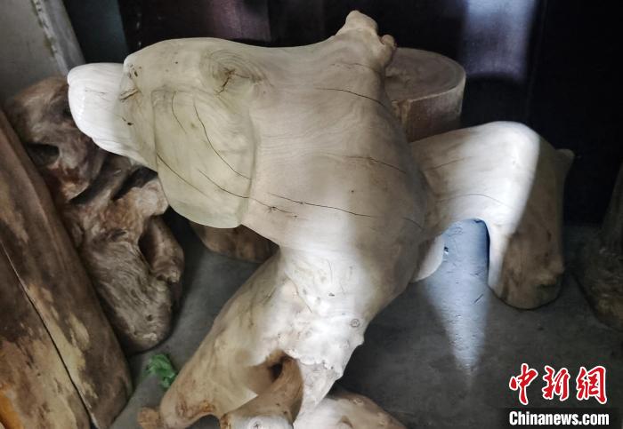 Житель Синьцзяна создает скульптуры из корней деревьев