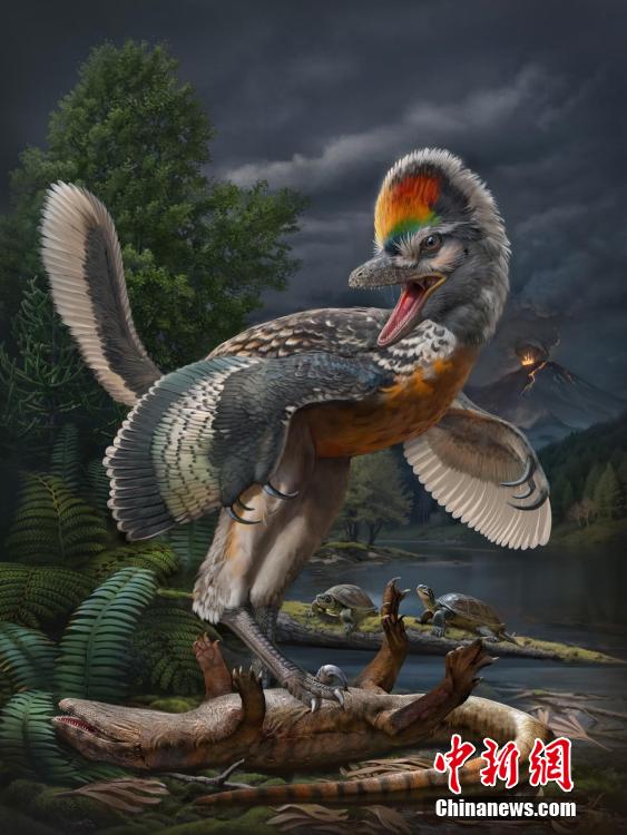 В Юго-Восточном Китае нашли окаменелости птицеподобного динозавра юрского периода