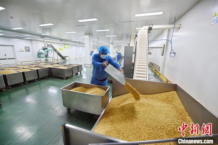 На долю китайского города Мэйхэкоу приходится свыше 60% мирового рынка кедрового ореха
