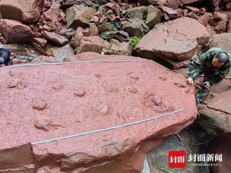 Китайский школьник обнаружил отпечатки лап динозавров