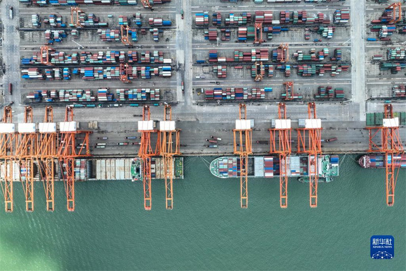 Автоматизированный контейнерный терминал Циньчжоу в порту залива Бэйбу