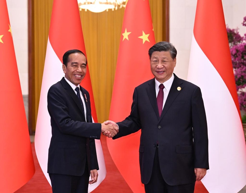 Си Цзиньпин провел переговоры с президентом Индонезии