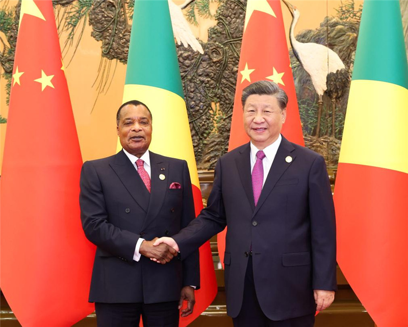 Си Цзиньпин встретился с президентом Республики Конго