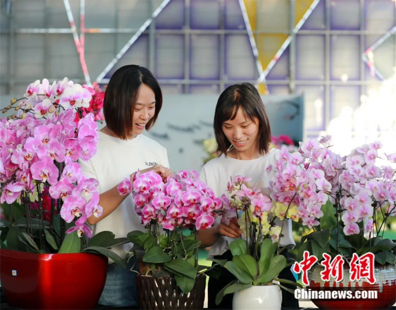 Из китайского уезда Шуян каждую секунду отправляют 15 посылок с декоративными растениями