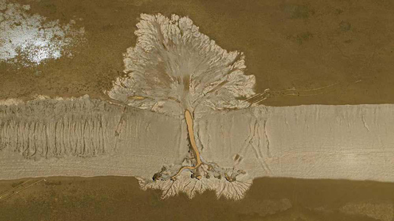 Али, Тибет: «Древо Земли»
