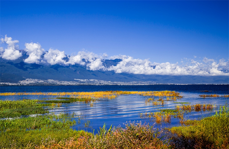 Три водно-болотных угодья провинции Юньнань приобрели статус национального значения КНР