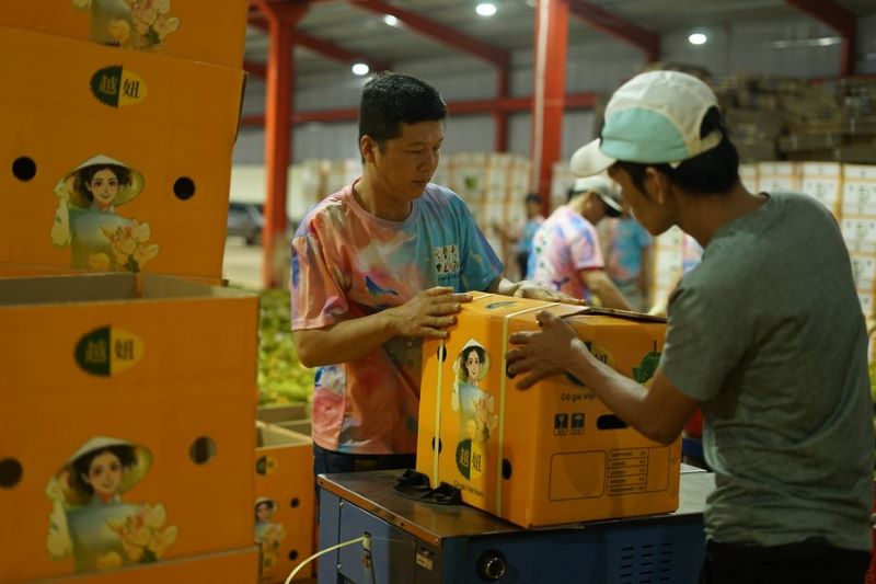 Внешняя торговля сельхозпродукцией в Китае выросла за первые 10 месяцев 2023 г.