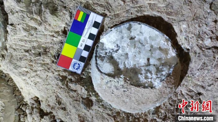 В Хубэе впервые обнаружили кристаллизованные окаменевшие яйца динозавра