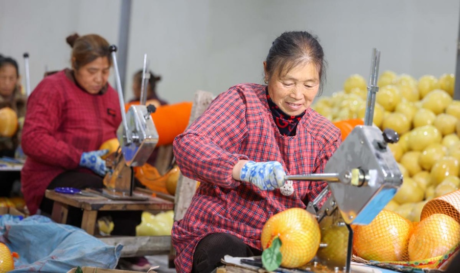 Помело из провинции Гуйчжоу пользуются большим спросом на зарубежном рынке