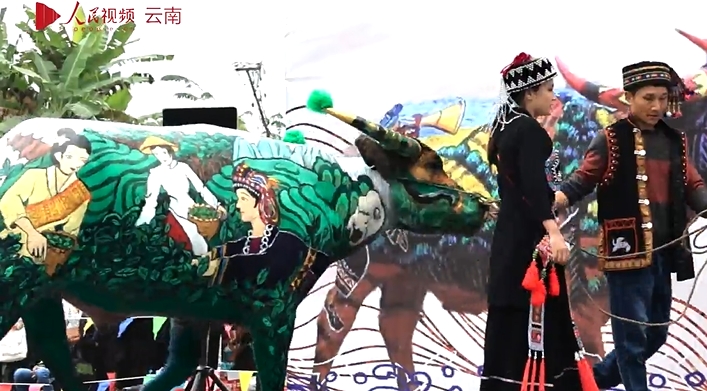 В провинции Юньнань прошел необычный фестиваль расписных буйволов