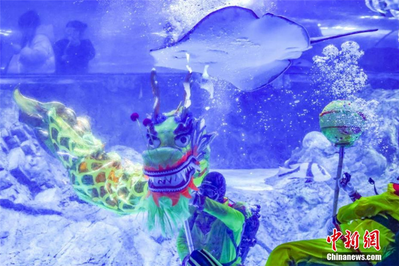 Подводный танец дракона в нанкинском океанариуме