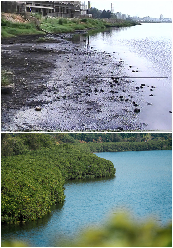 От грязного озера до «зеленых легких» города: великолепное преображение озера Юньдан в городе Сямэнь