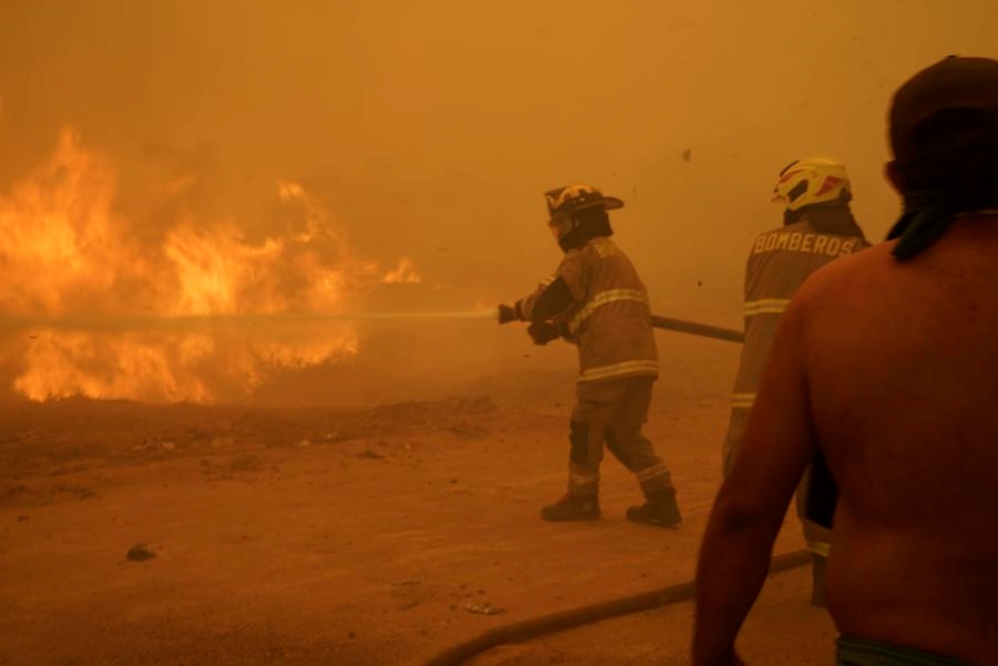 Число жертв лесных пожаров в Чили достигло 131 человека