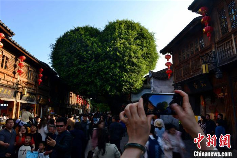 Доходы провинции Фуцзянь от туризма во время Праздника весны достигли рекордно высокого уровня