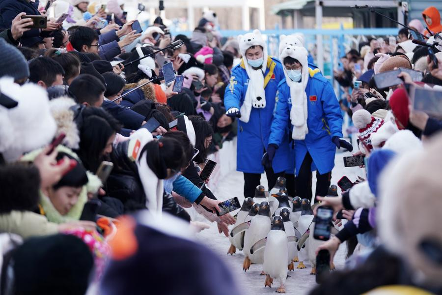 Китайский "ледяной город" Харбин посетило более 10 млн туристов в дни праздника Весны