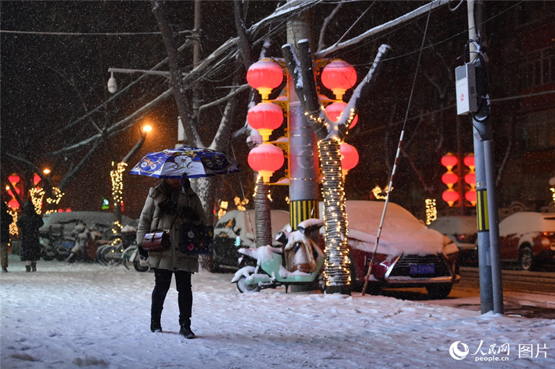 В Пекине прошел первый в новом году Дракона снег