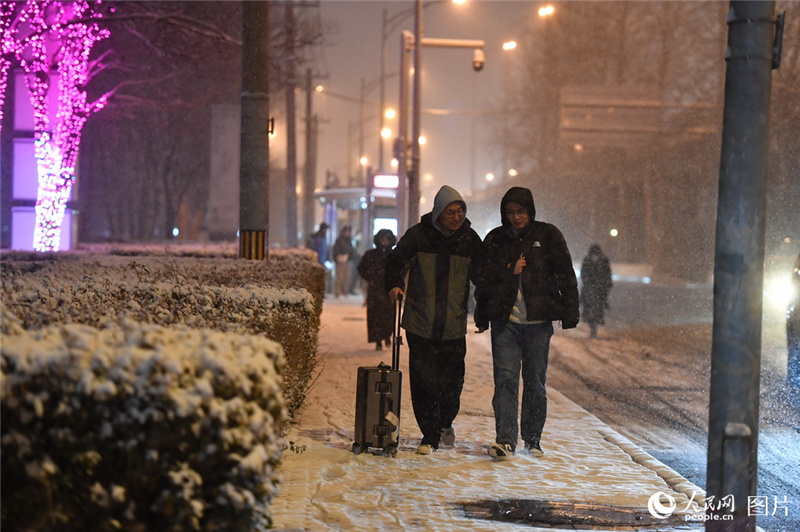 В Пекине прошел первый в новом году Дракона снег