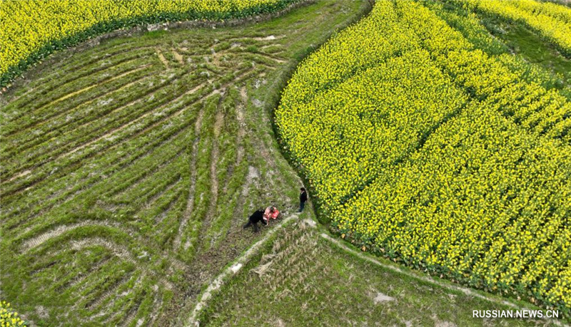 Фермеры из разных районов Китая приступили к весенним полевым работам