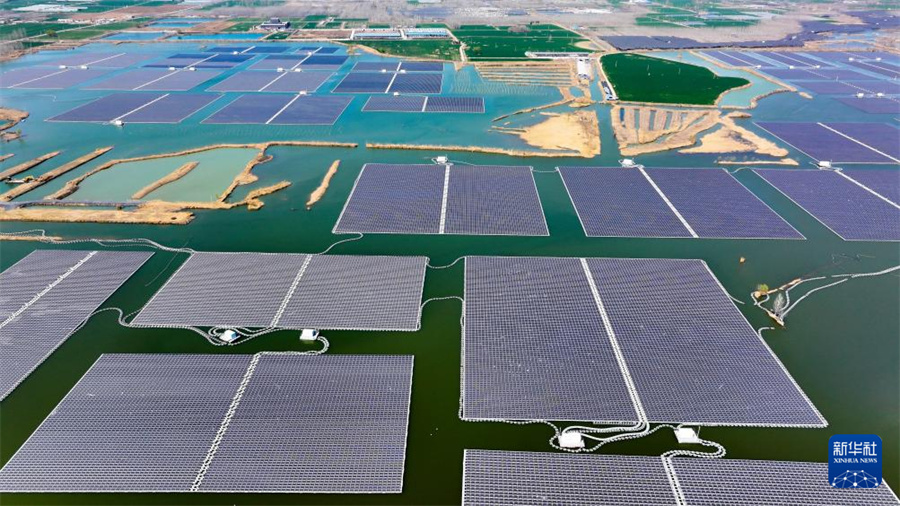 Объединение сельского хозяйства и производства солнечной энергии в провинции Шаньдун