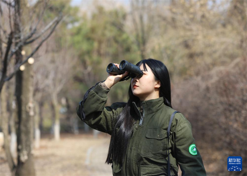 Реабилитолог хищных птиц о своей работе в Шэньяне