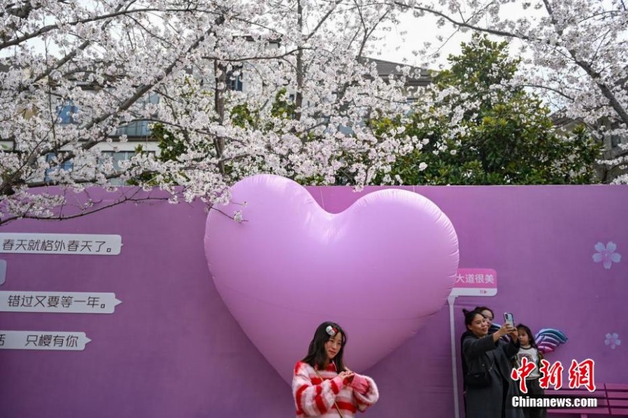 “Аллея сакур” в Янчжоу - магнит для туристов весной