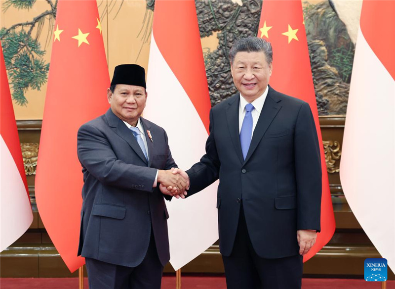 Си Цзиньпин провел переговоры с избранным президентом Индонезии