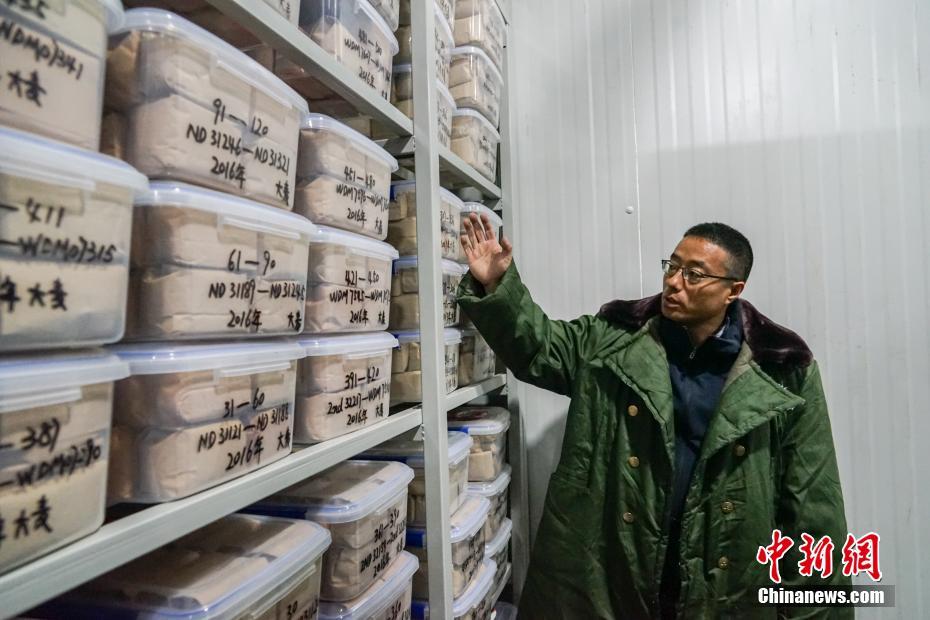 Единственный в мире банк дубликатов зародышевой плазмы сельскохозяйственных культур