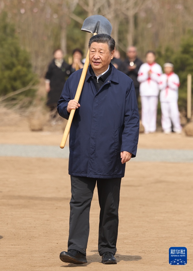 Си Цзиньпин принял участие в мероприятии по посадке деревьев в Пекине