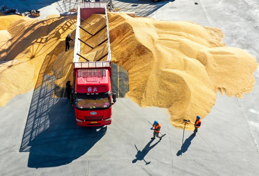 Импорт зерна в Китай вырос в январе-феврале