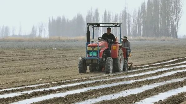 В уезде Манас СУАР осуществляется полностью механизированное выращивание картофеля
