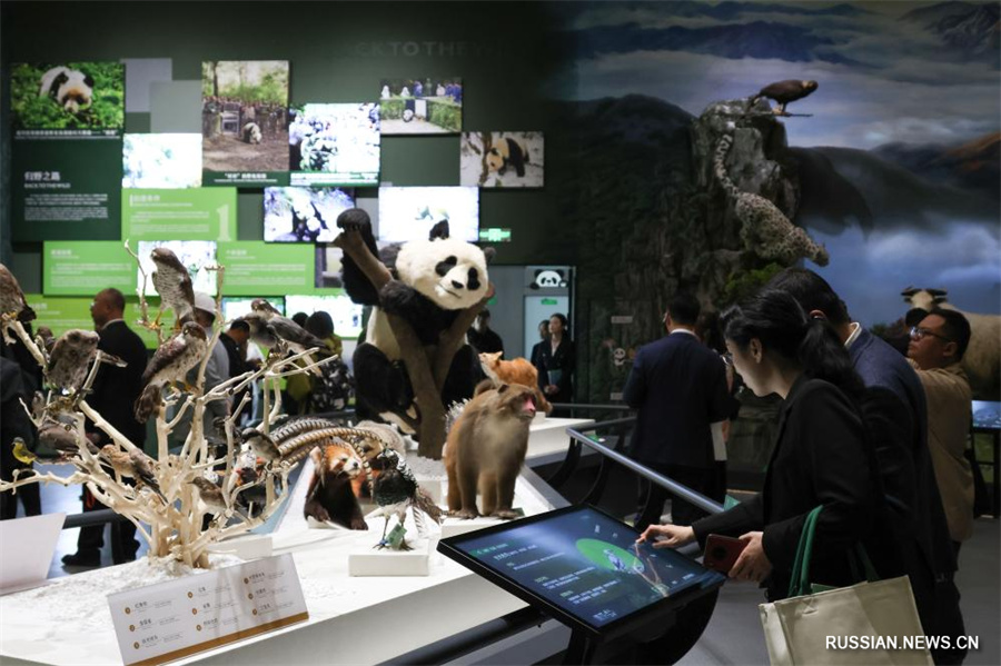 В китайской пров. Сычуань открылся Международный центр культурных обменов по большим пандам