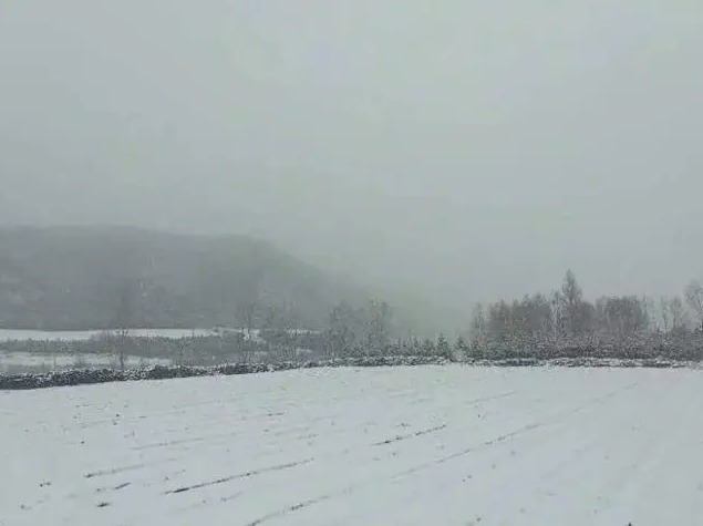 В провинции Хэбэй выпал снег