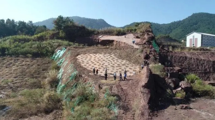 На востоке Китая обнаружены окаменелые следы крупнейшего в мире дейнонихозавра
