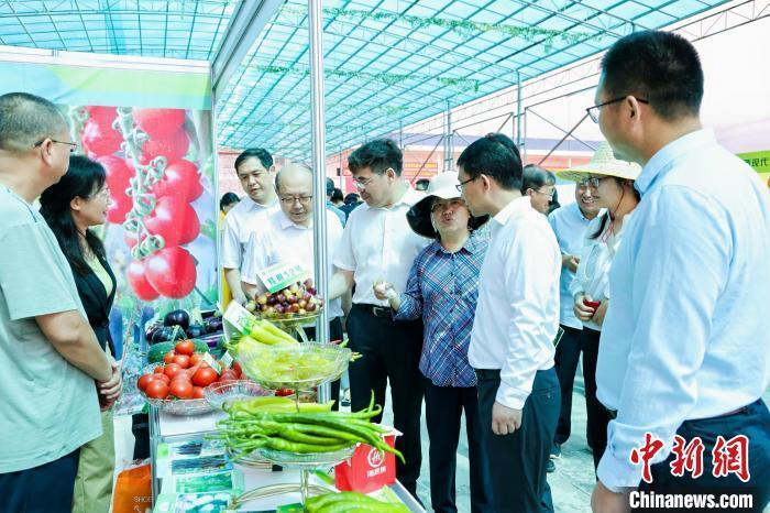 На овощной выставке Китай-АСЕАН представили 1658 новых сортов овощей