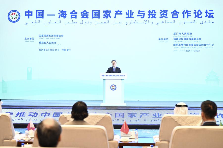 23 мая, Сямэнь. Дин Сюэсян выступает на Форуме индустриально-инвестиционного сотрудничества "Китай -- страны ССАГПЗ". /Фото: Синьхуа/