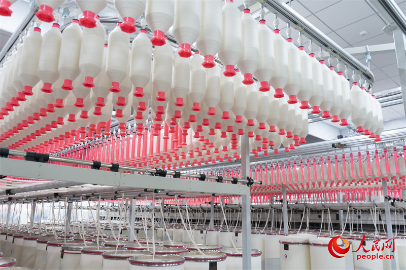 Текстильные фабрики Синьцзяна высоко оценивают перспективы развития отрасли в уезде Инин