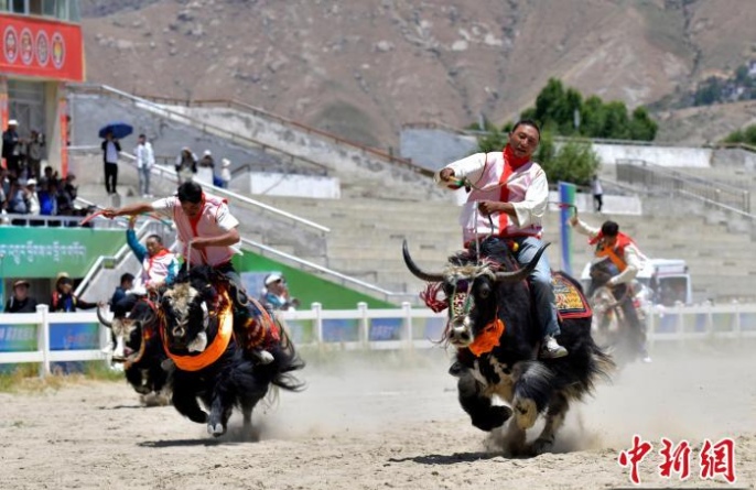 В Лхасе стартовали первые спортивные состязания среди скотоводов