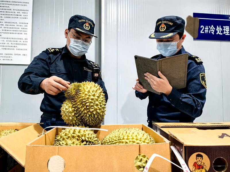 В Китае растет импорт фруктов за счет расширения открытости внешнему миру