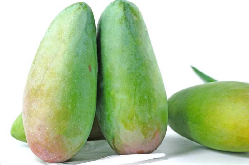 Город Байсэ является лидером в Китае по производству манго