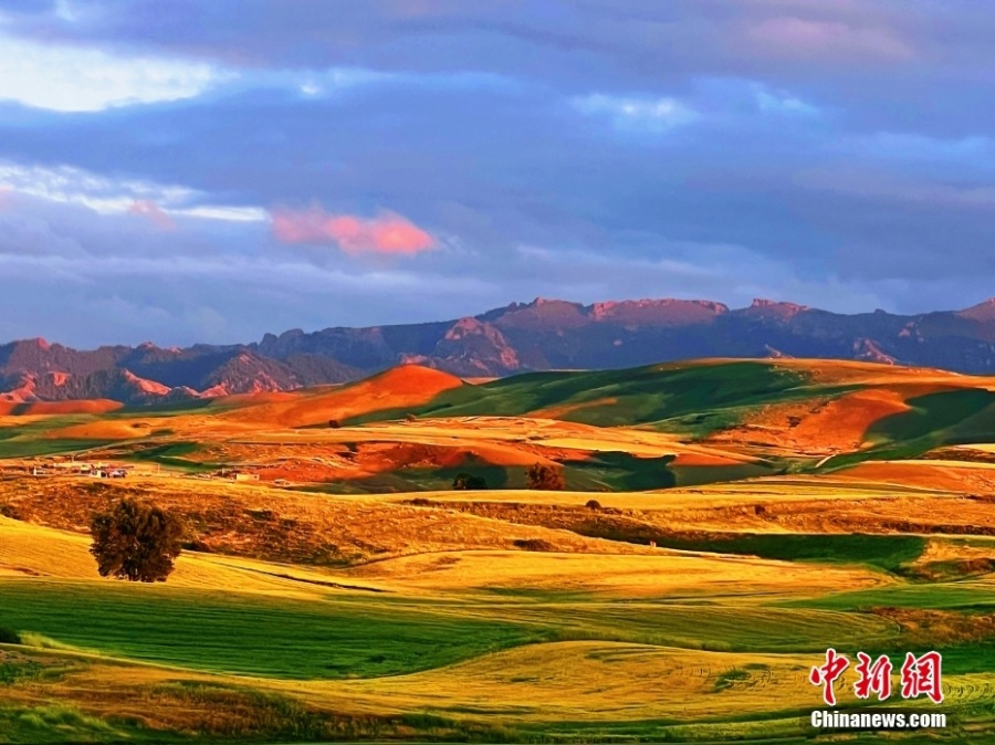 Яркие краски сельскохозяйственных угодий в Синьцзяне