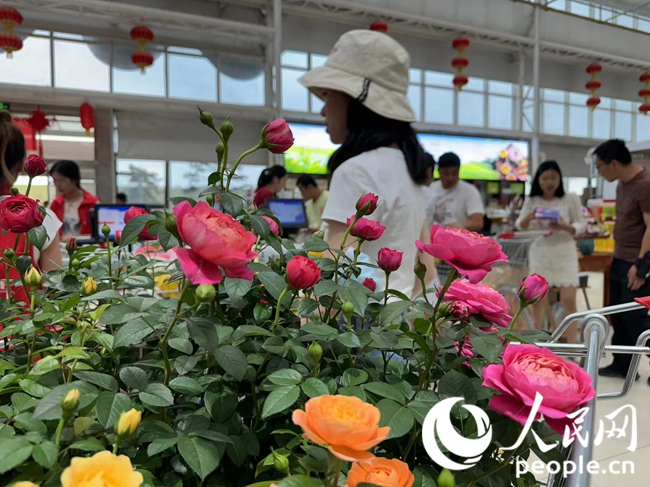 В новом районе города Ланьчжоу расцветает цветоводство