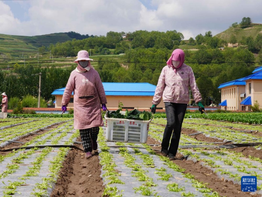 Китай стал третьим крупнейшим рынком органической продукции в мире