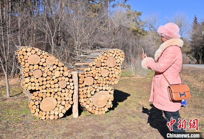 Парк в Чанчуне радует оригинальными скульптурами из веток