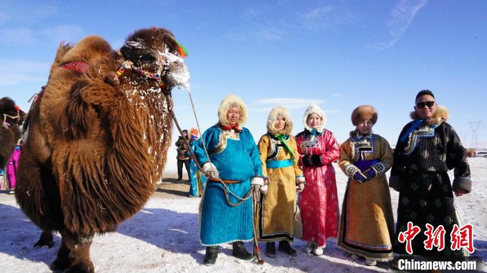 На севере Китая провели конкурс красоты среди верблюдов